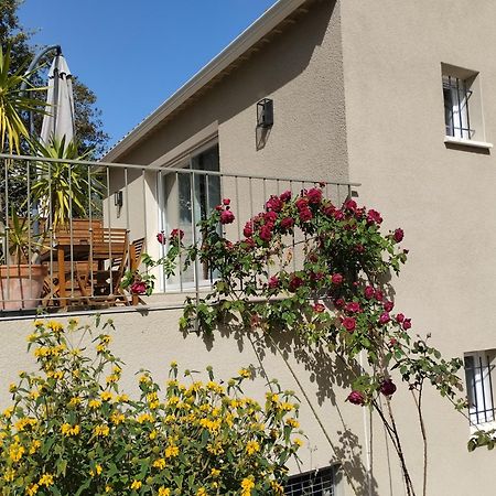Charmante Maison Avec Jardin Aux Portes Des Gorges De L'Ardeche Saint-Julien-de-Peyrolas Buitenkant foto